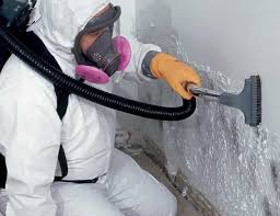 Best Forensic Mold Investigation in Greenwood, MO